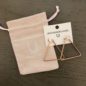 NWT Uncommon James Chemistry Earrings - Rose Gold
